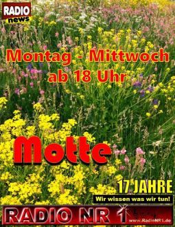 NR1_Flyerblumen_motte_webradio